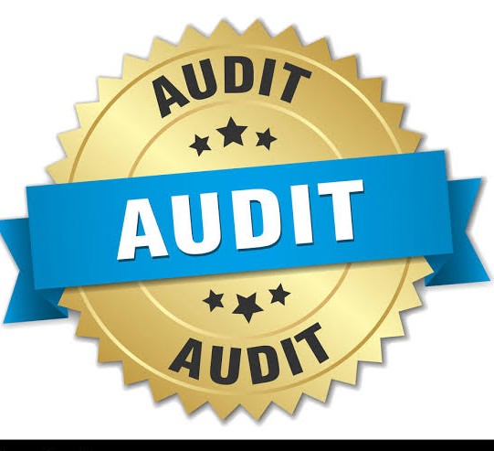 Audit Requirements